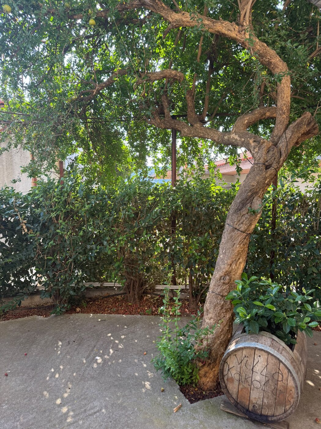 The shaded garden at Villa Kakoliri